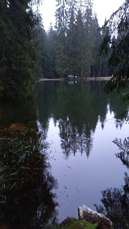 Monteurwohnung Aroba Fehrenbach Εξωτερικό φωτογραφία
