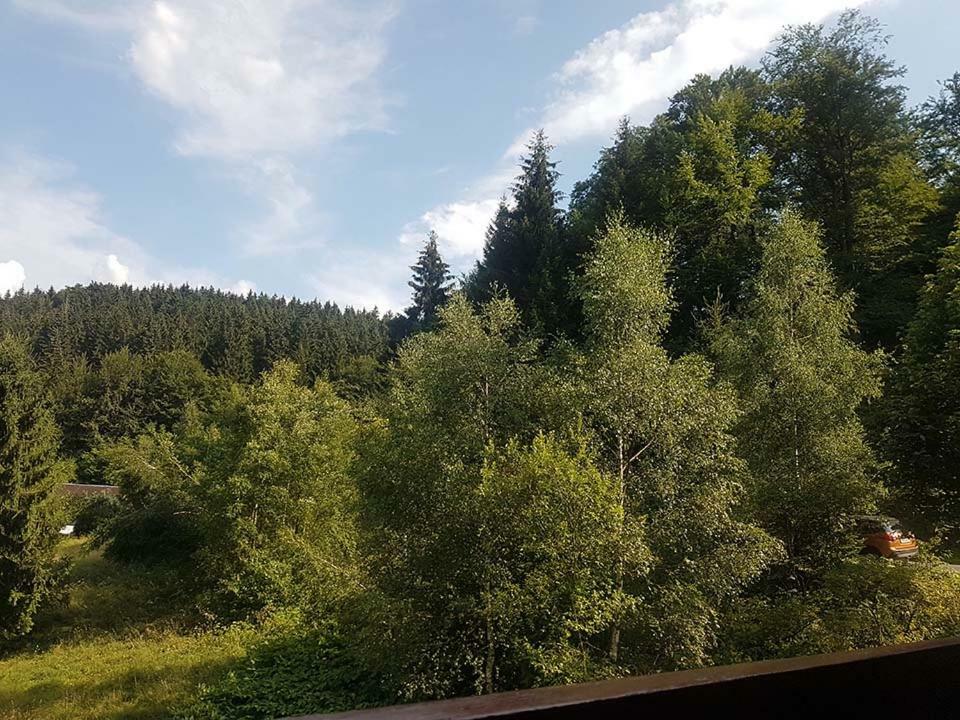 Monteurwohnung Aroba Fehrenbach Εξωτερικό φωτογραφία