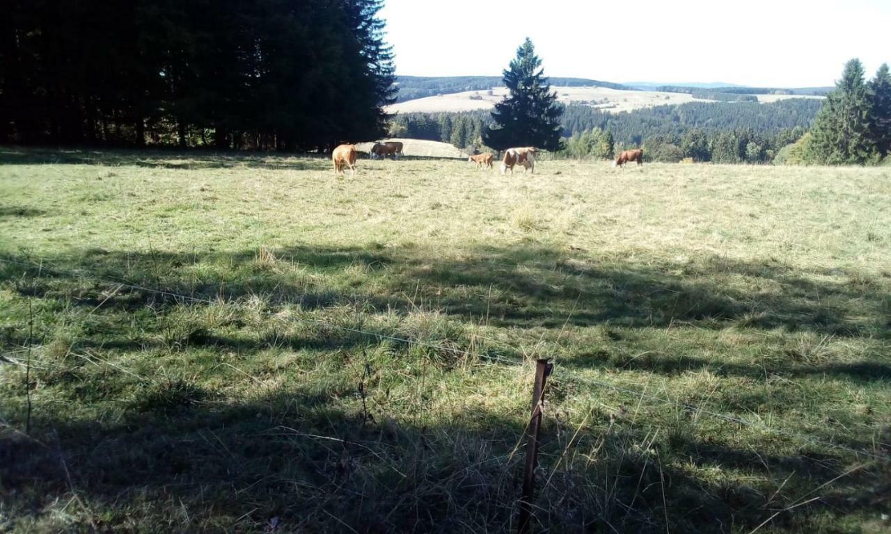 Monteurwohnung Aroba Fehrenbach Εξωτερικό φωτογραφία