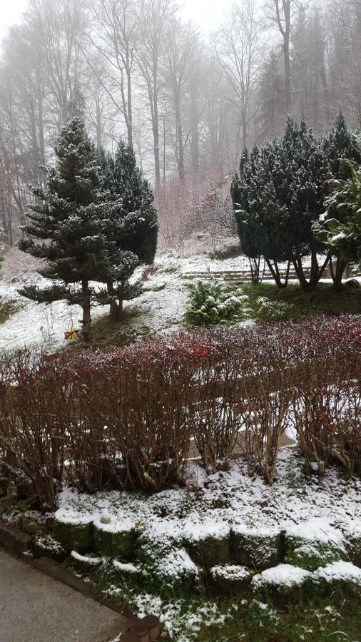 Monteurwohnung Aroba Fehrenbach Εξωτερικό φωτογραφία